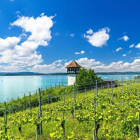 Alpenfeuer * Daisendorf