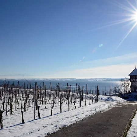 Daire Alpenfeuer Mit Grandiosem Panoramablick