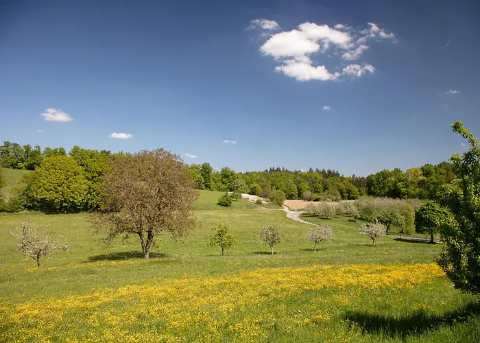 Alpenfeuer Apartamento *