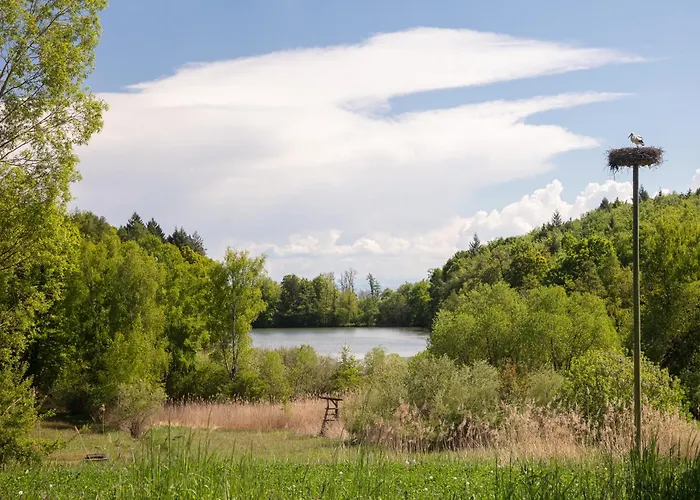 Apartamento Alpenfeuer *